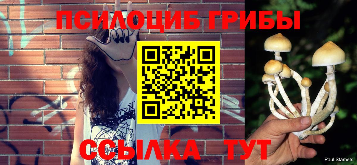 Магнитогорск  Галлюциногенные грибы GOLDEN TEACHER  Вход с VPN 